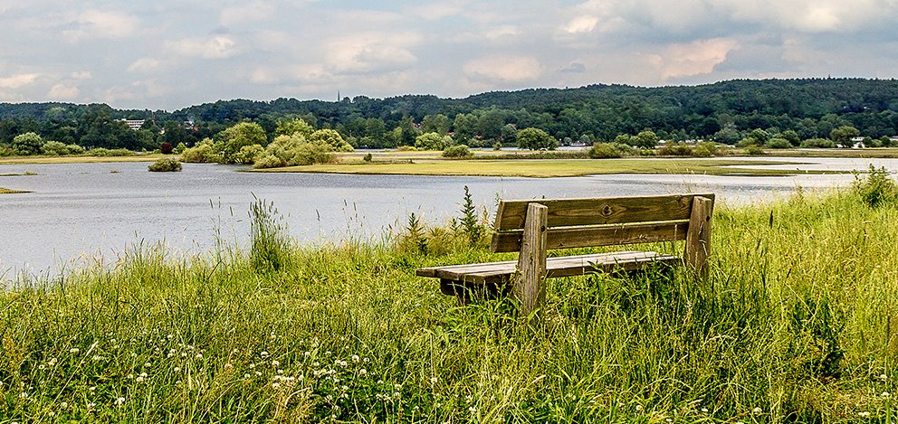 Ruhige Flusslandschaft in Geesthacht mit Holzbank und grüner Uferwiese.